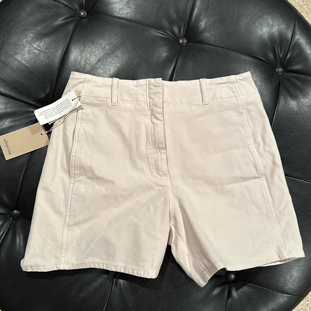 Aritzia Shorts
